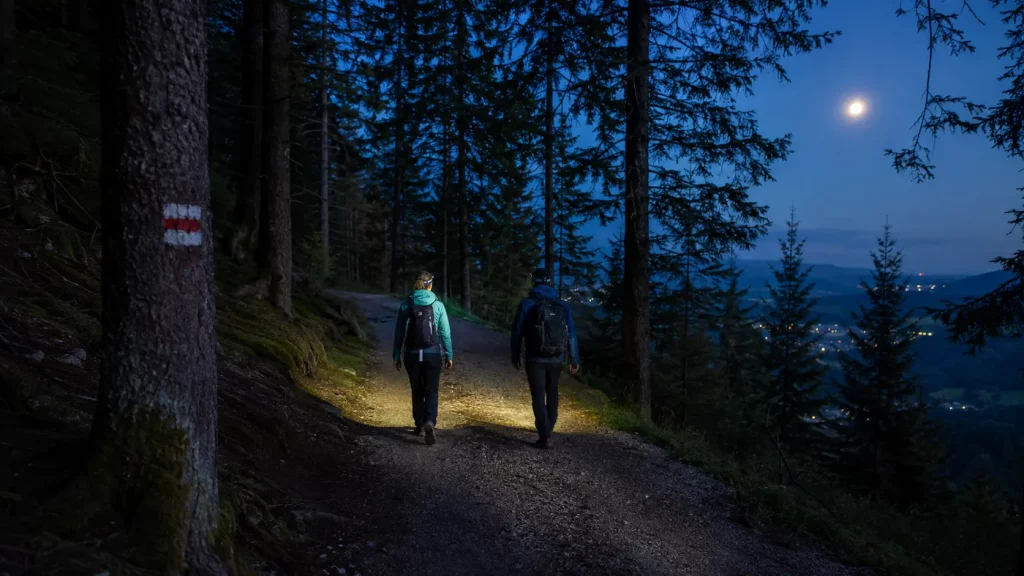 Zwei Wanderer mit Stirnlampen auf einem markierten Waldweg bei Nacht