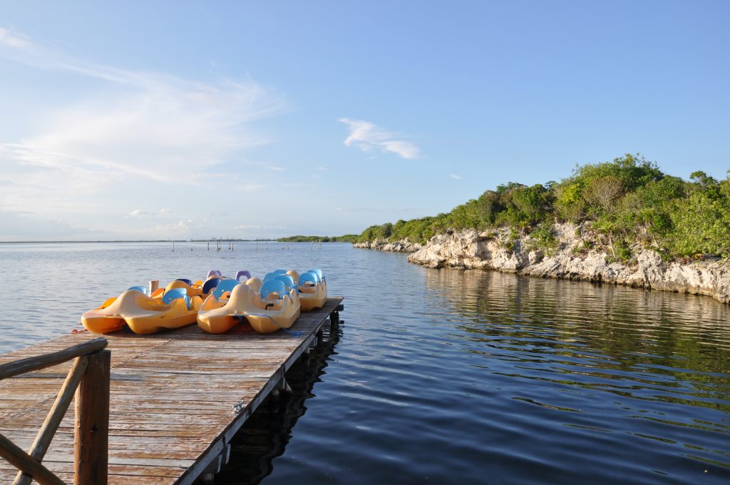 Mangroven und Wasser der Lagune Nichupté in Cancún