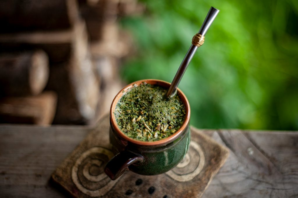 a plant in a pot