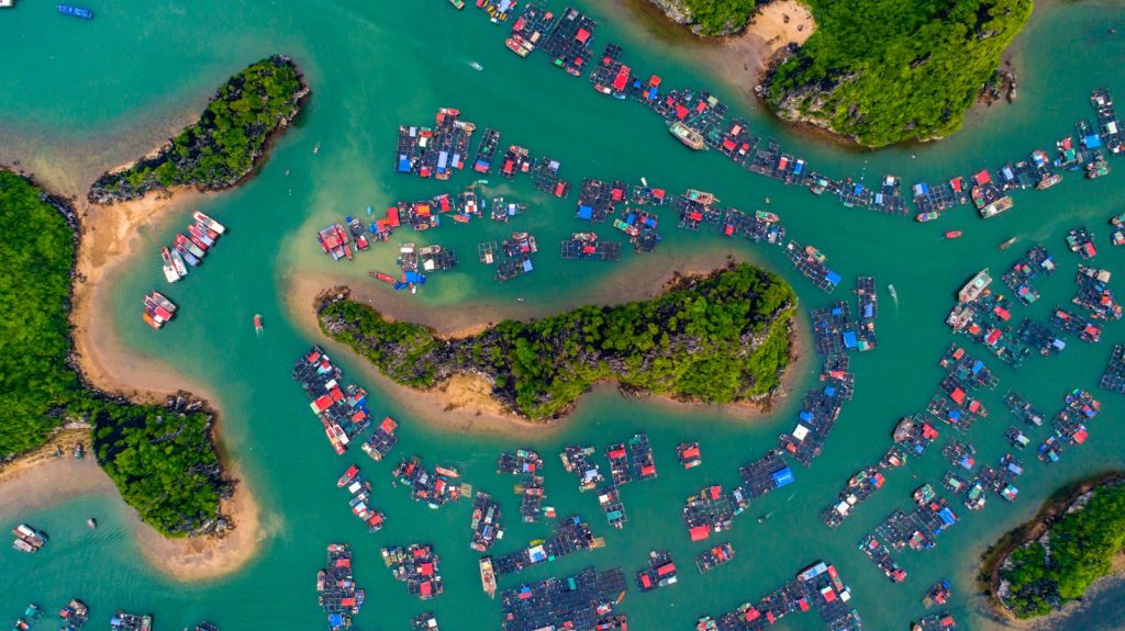 Blick auf die Insel- und Karstlandschaft rund um Cat Ba und die Halong-Bucht in Vietnam