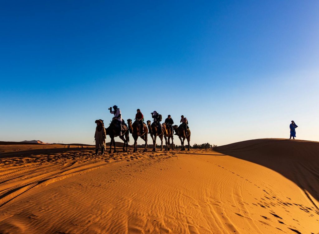 Reisende auf Kamelen in den Dünen der Sahara