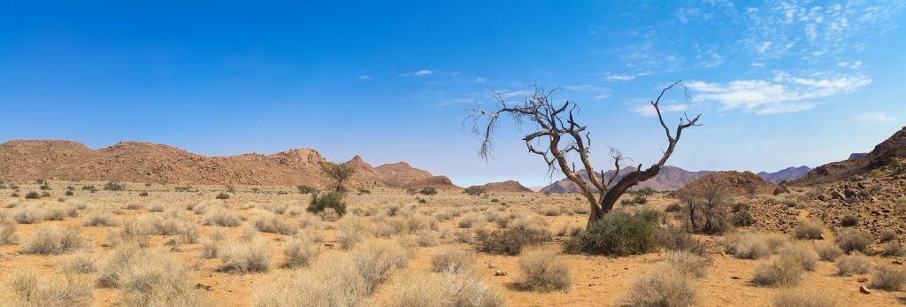 Trockene Wüstenlandschaft mit Baum und Bergen unter blauem Himmel