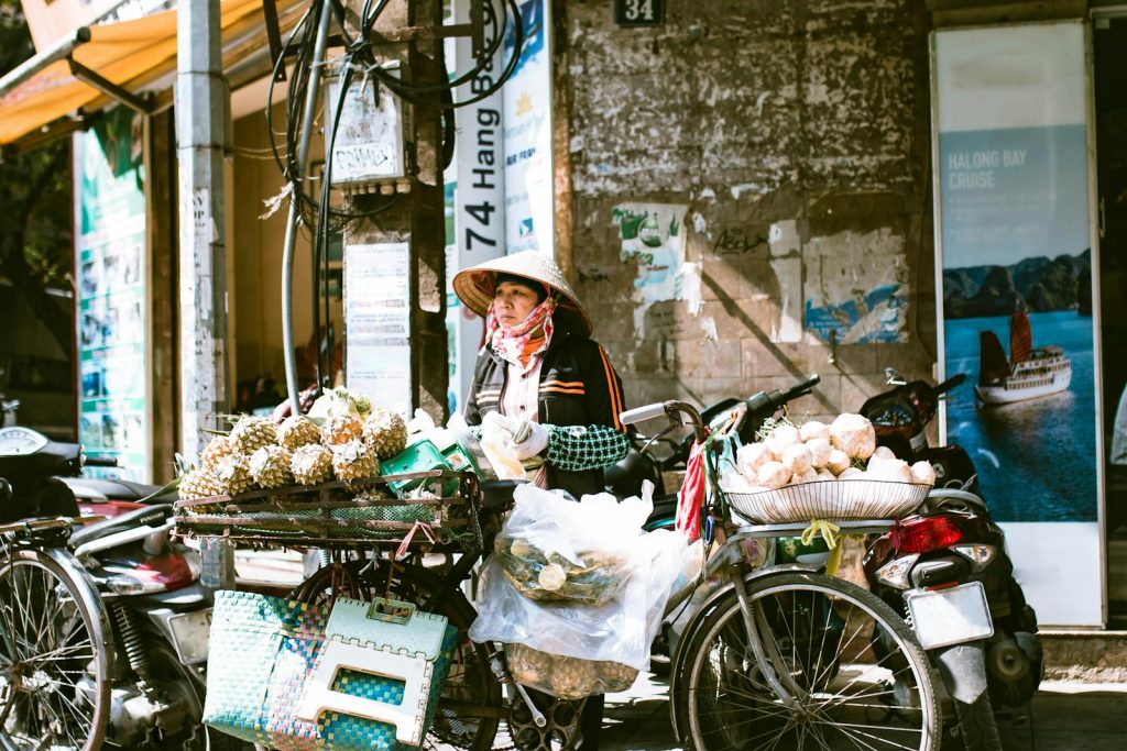 Straßenverkäuferin mit tropischen Früchten in Hanoi während einer Vietnam-Reise
