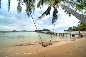 Serene tropical beach with a swing hanging from palm trees, overlooking the ocean.