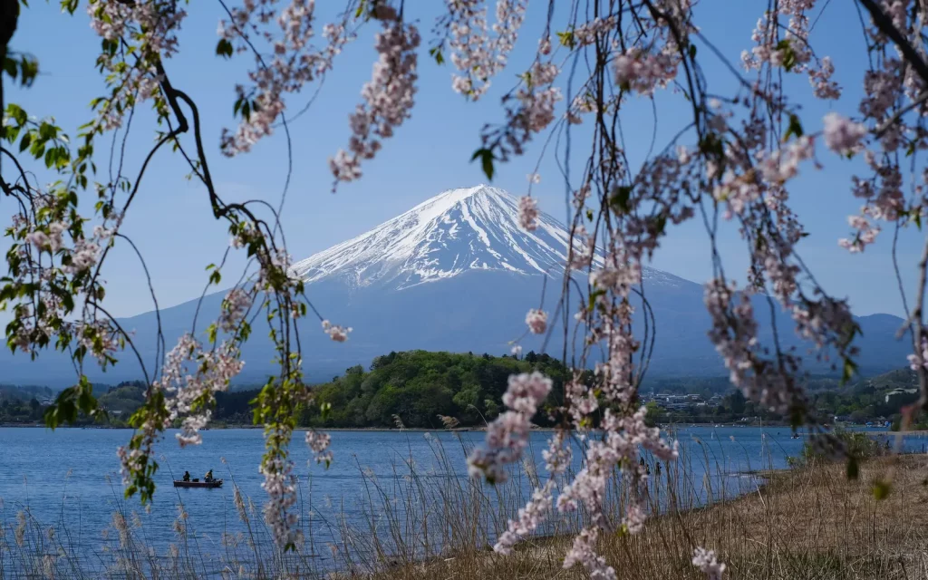 Mount Fuji mit Kirschblüten im Frühling in Japan